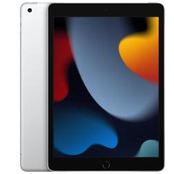 Apple iPad 10,2" (2021) Wi-Fi 256 ГБ, Silver (серебристый)