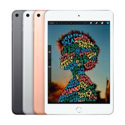 iPad mini 5 WiFi 64GB Gold  (2019)